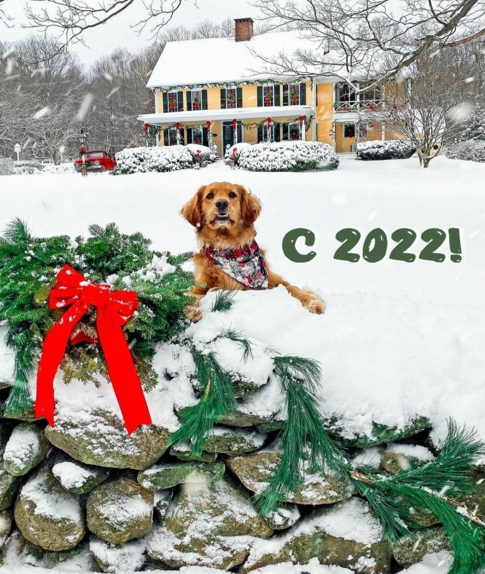  2022!