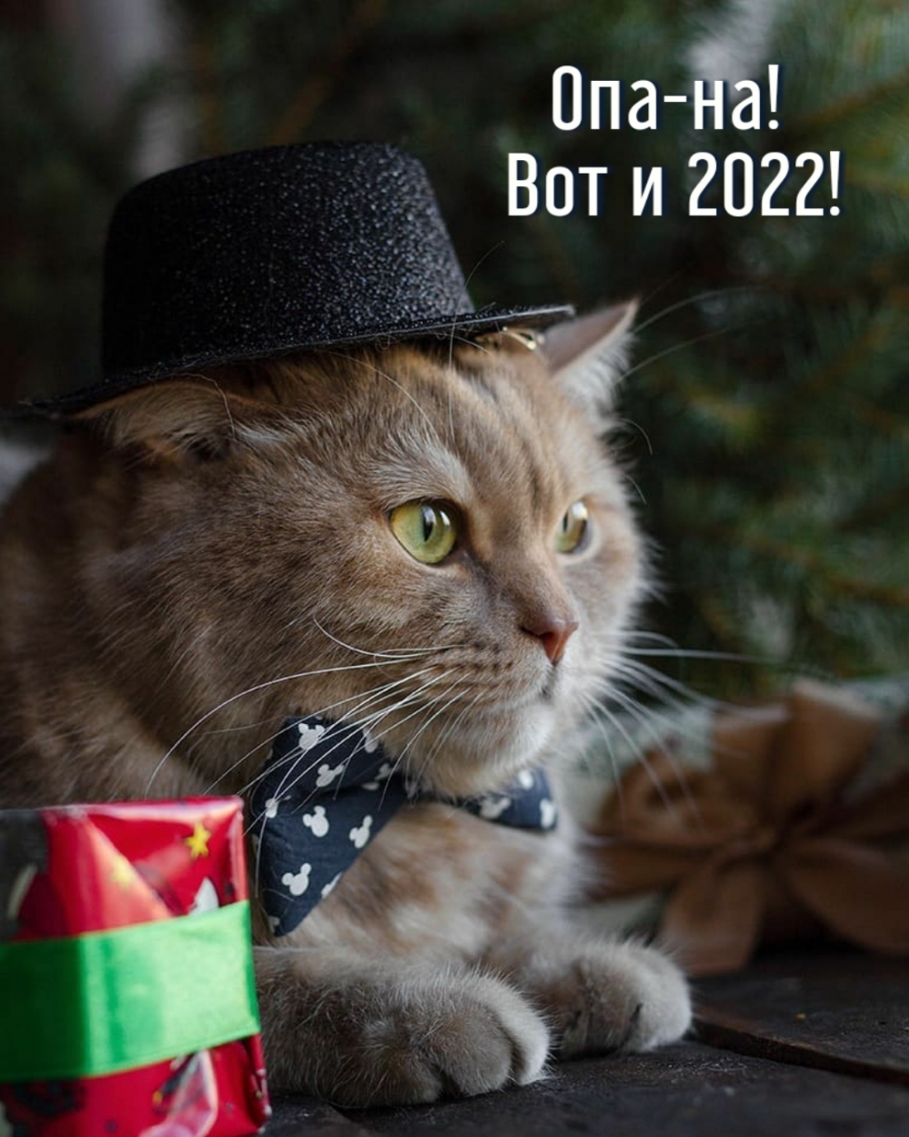 -!   2022!