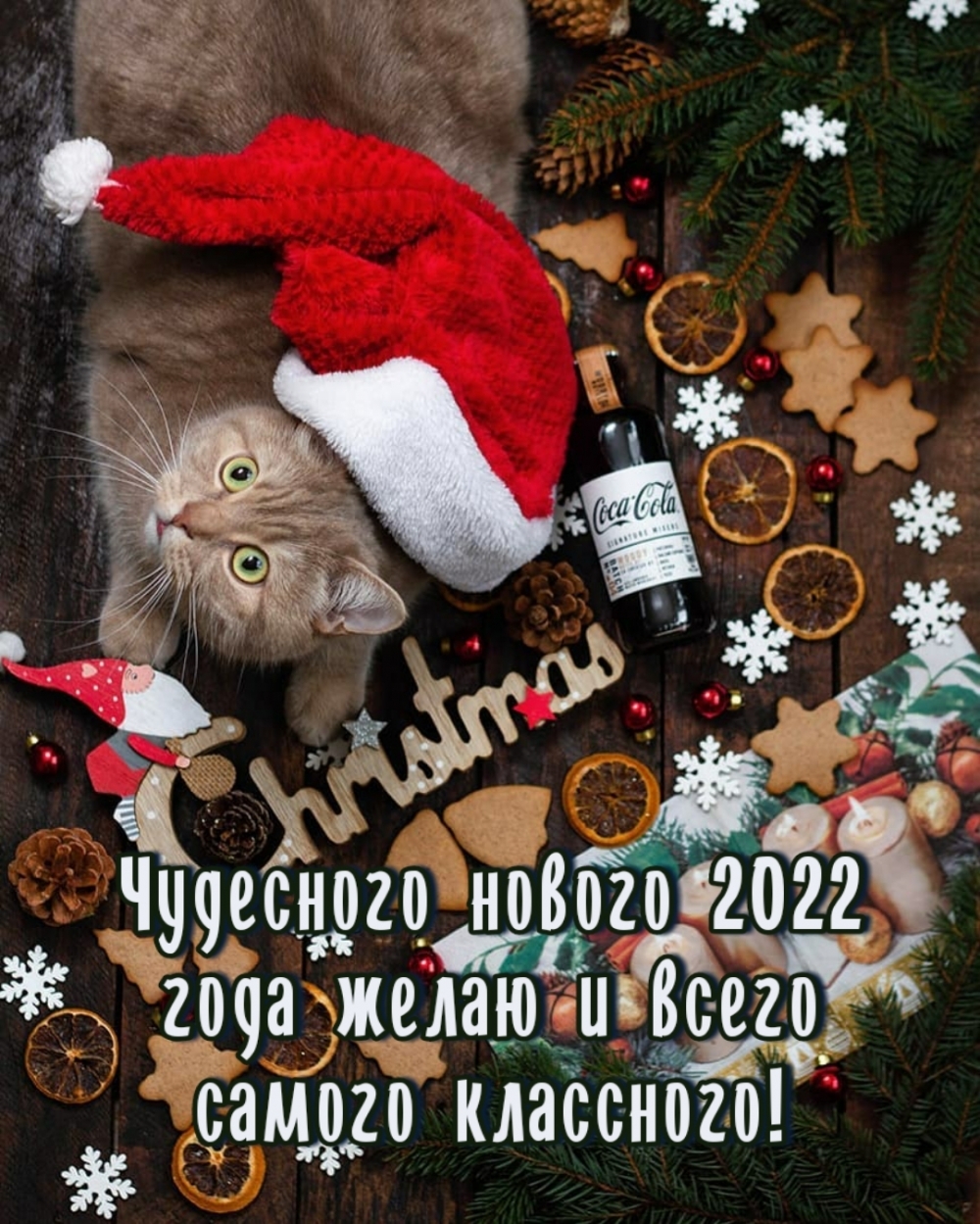   :   2022      !