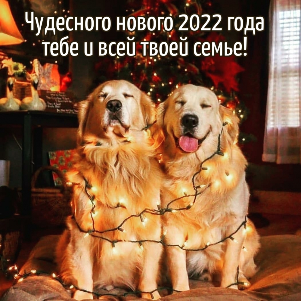  2022      !