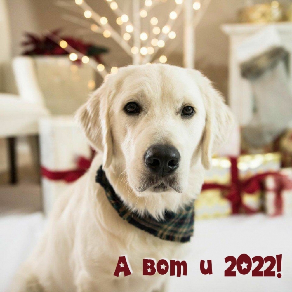    2022!