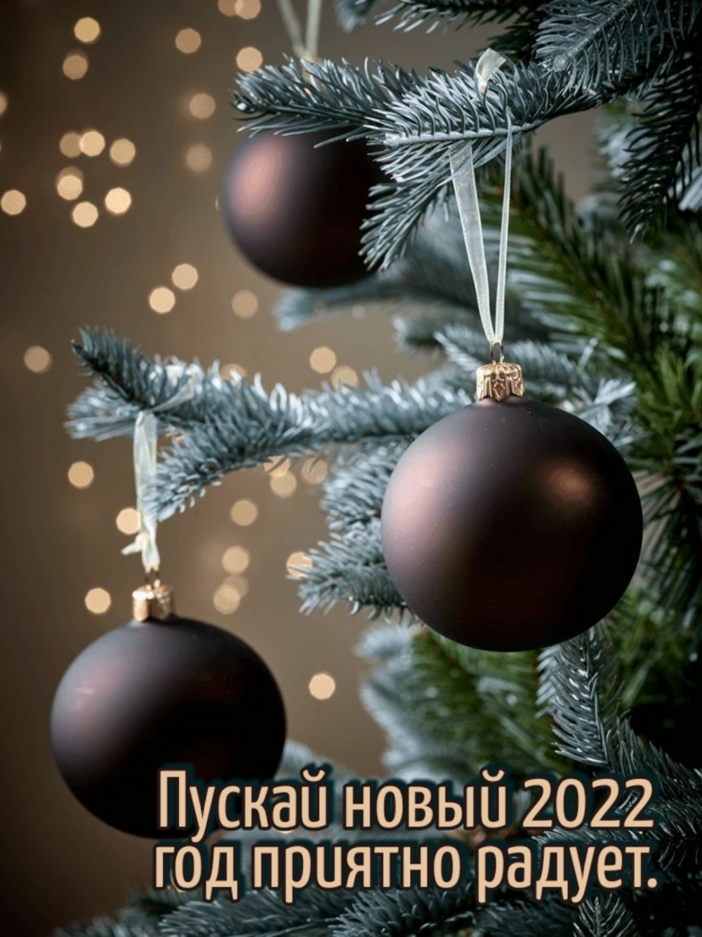   2022   .