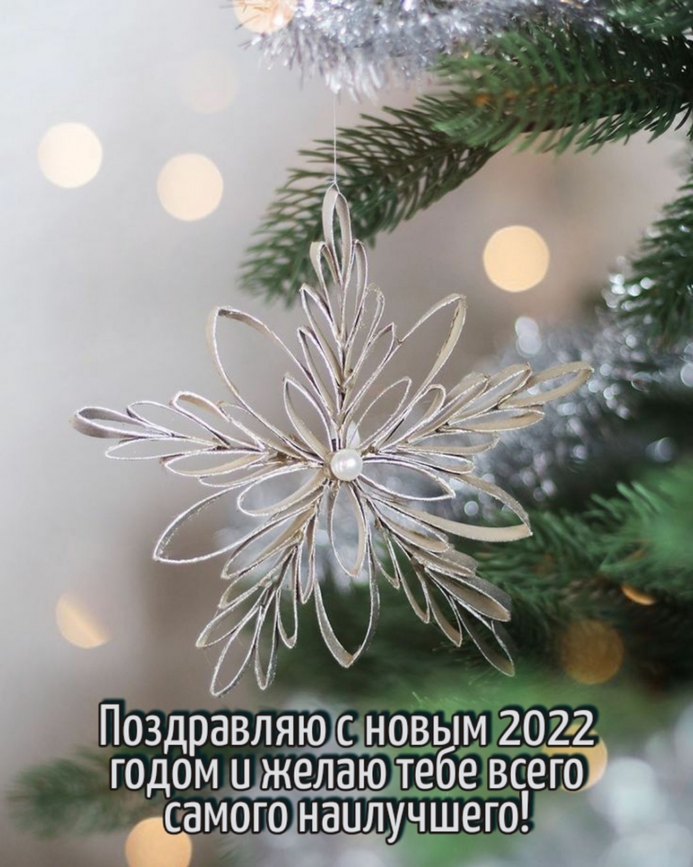   2022 