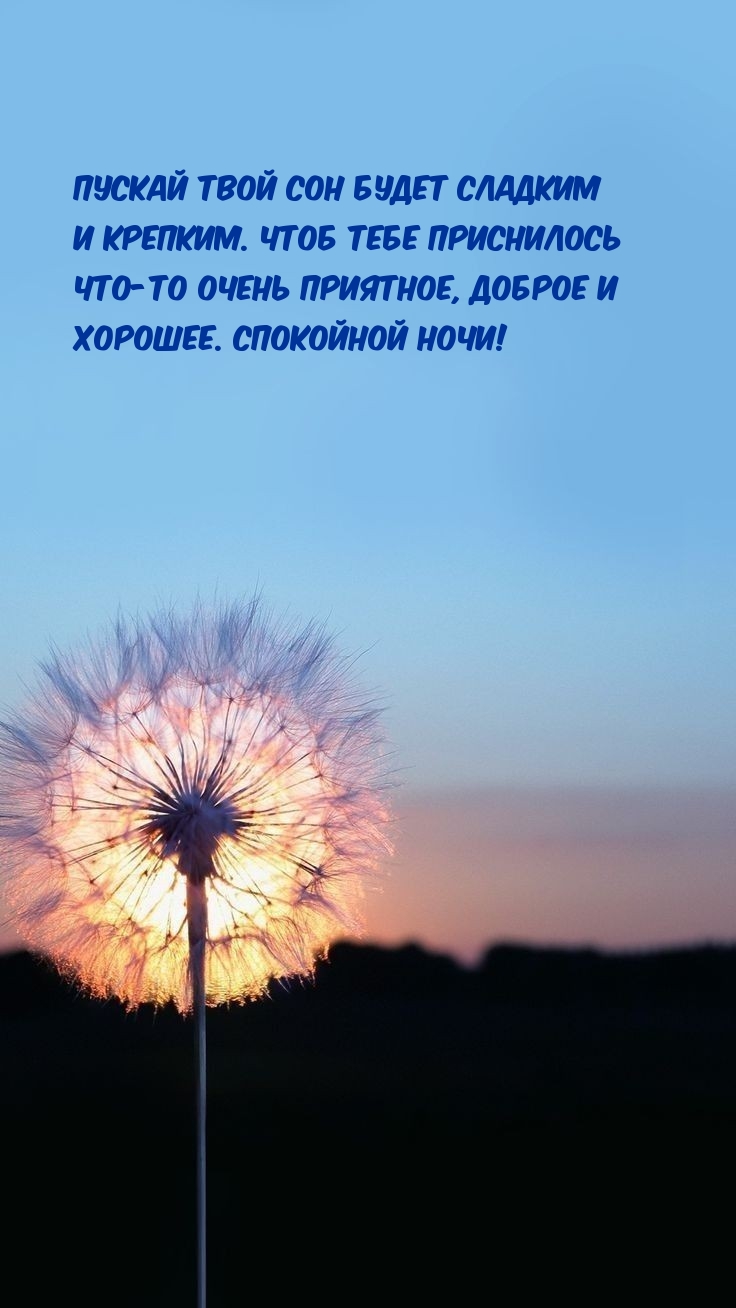 Пускай твой сон будет сладким и крепким.