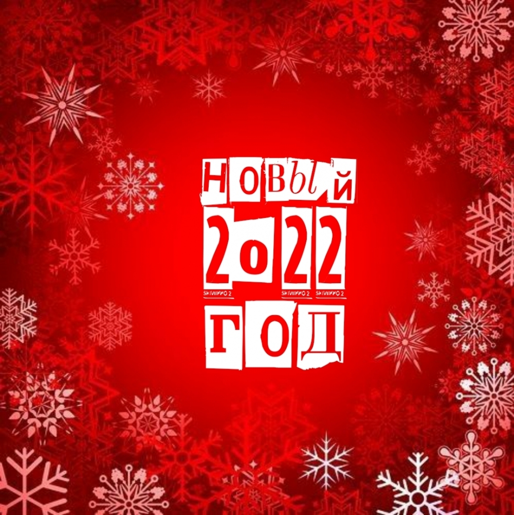   :  2022 