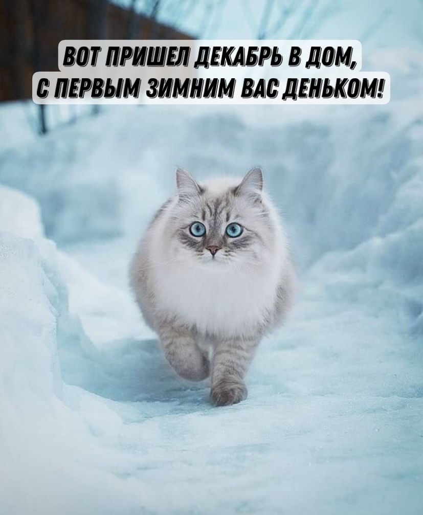     ,     !