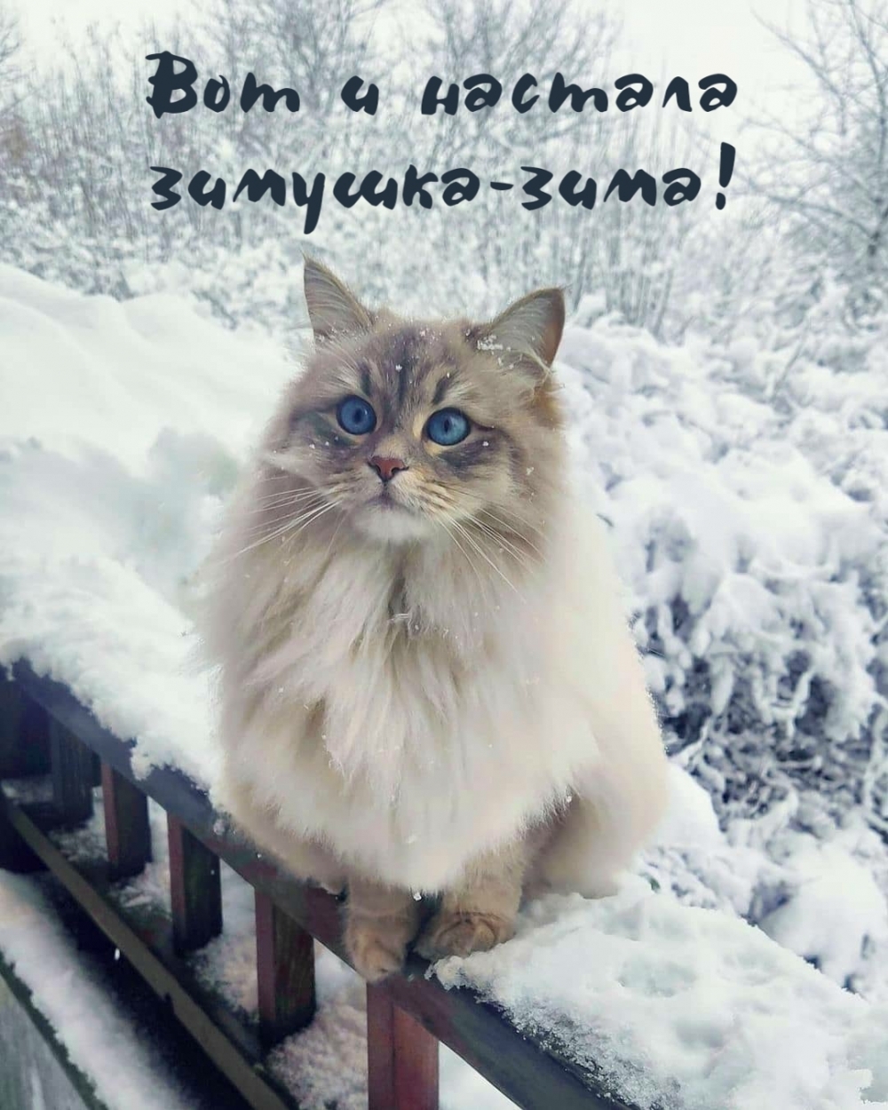    -!
