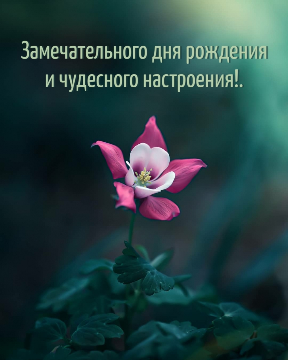      !.