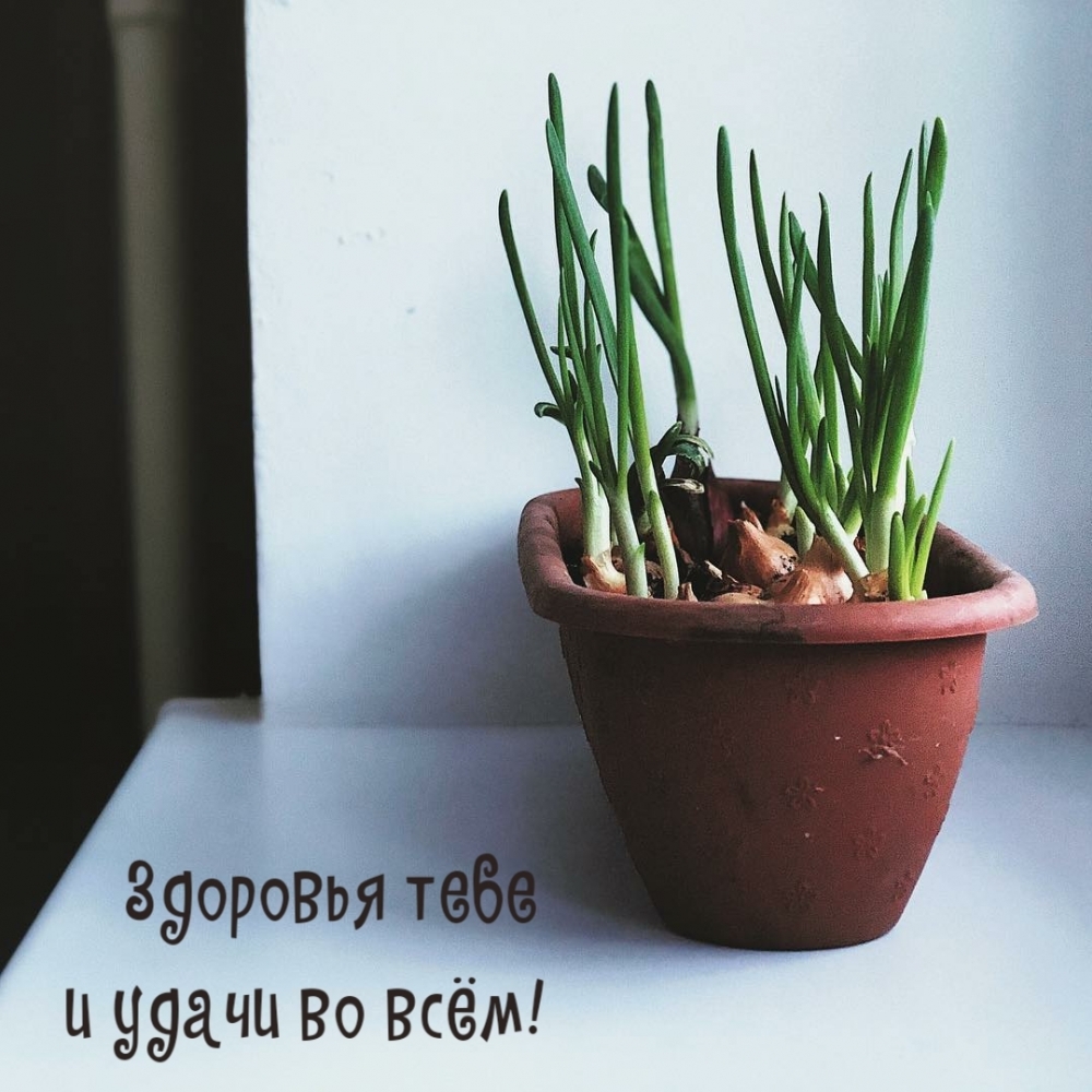  :      !