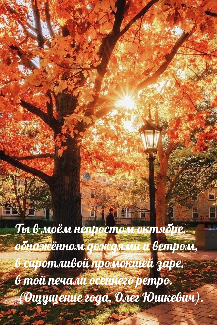   :     