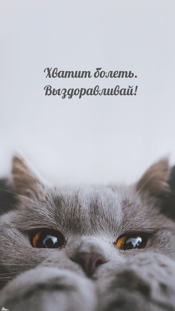  . !