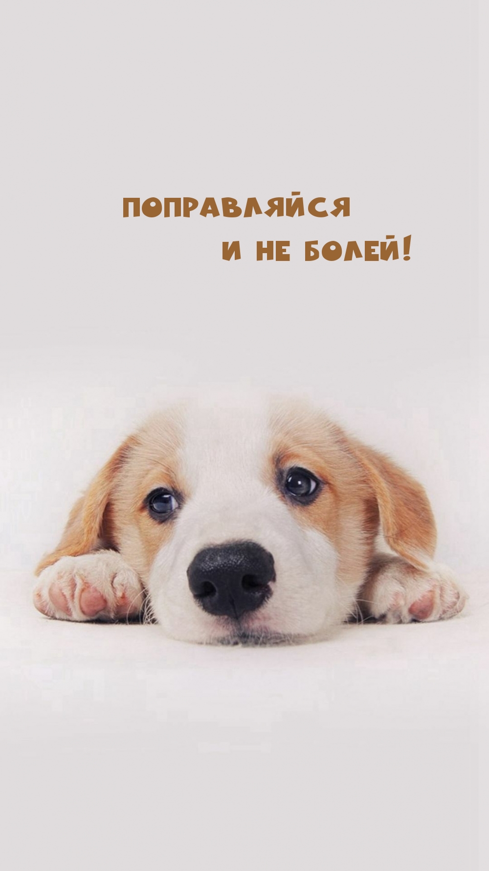 Поправляйся и не болей!