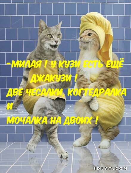   : - !      !