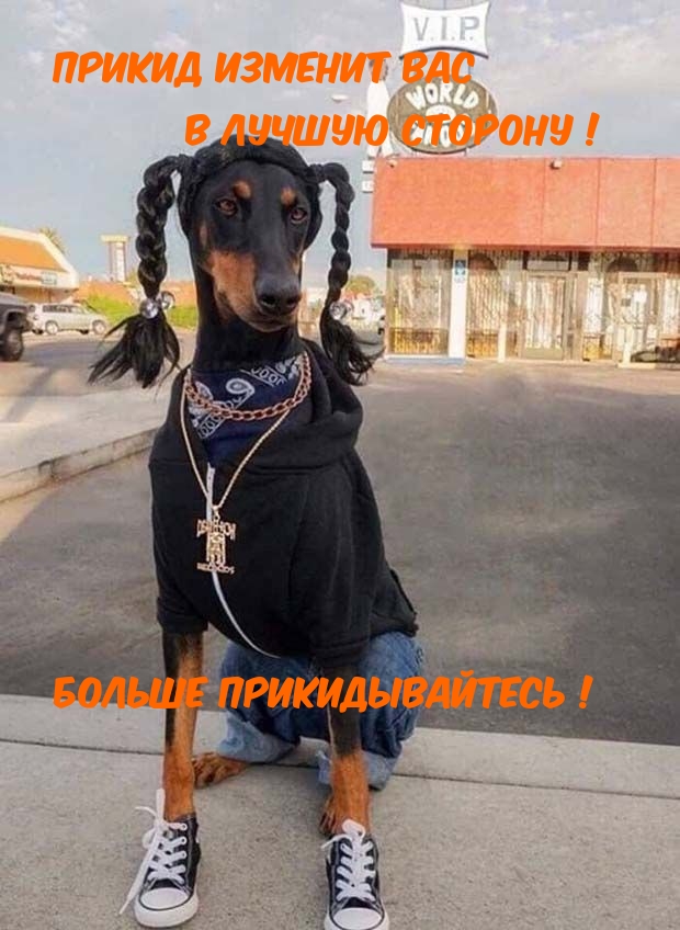 Картинки с надписями Прикид изменит Вас в лучшую сторону! Больше прикидывайтесь!