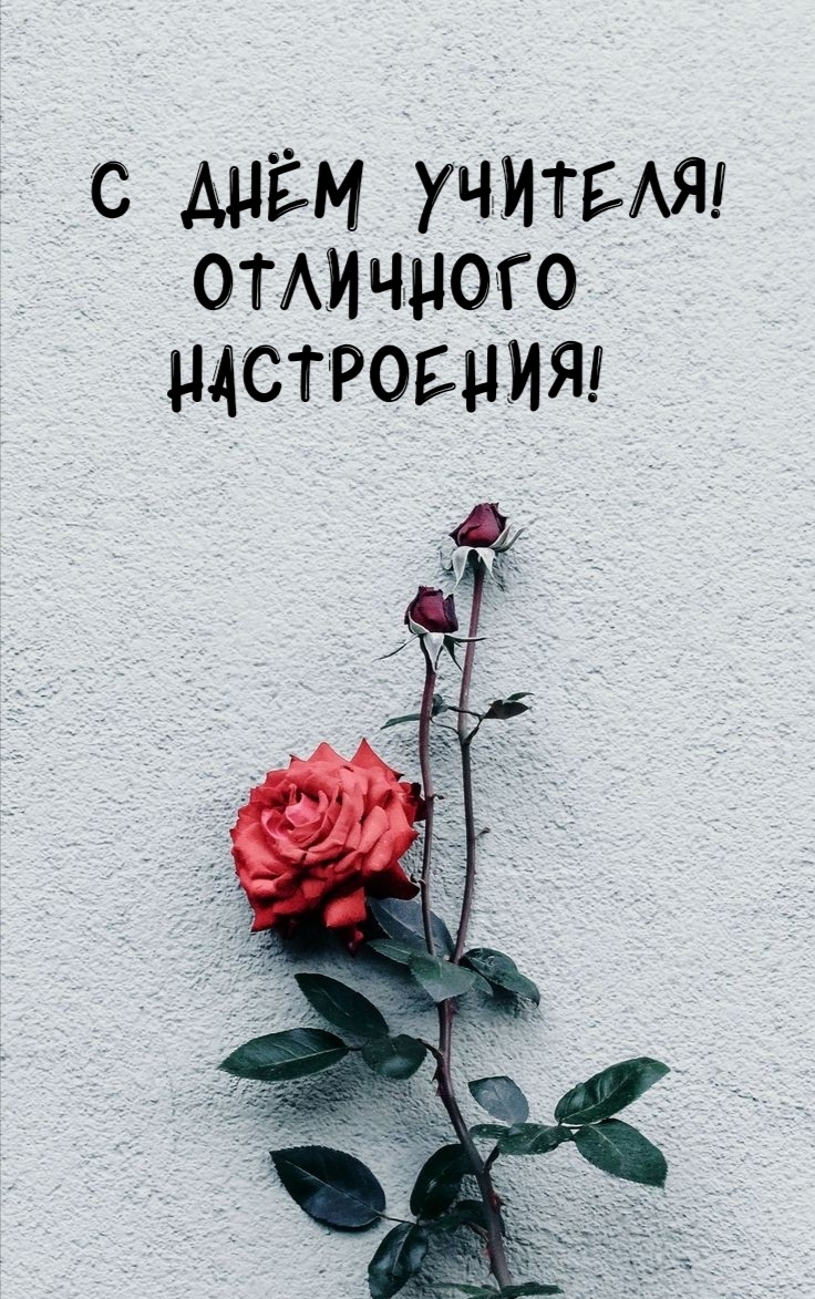   !  !