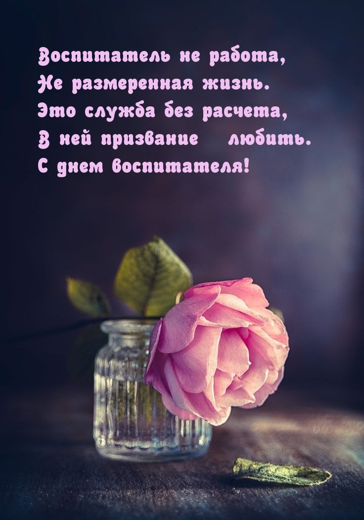   :   ,   .