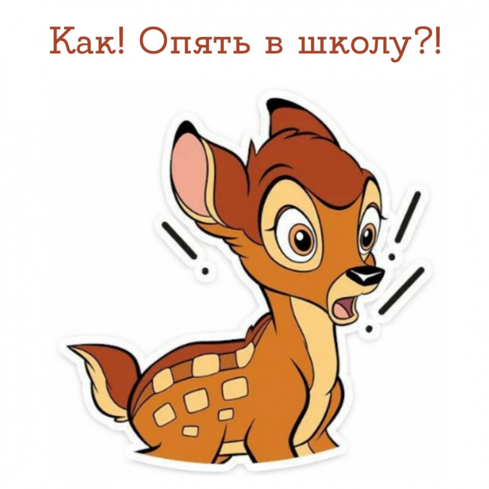   : !   ?!