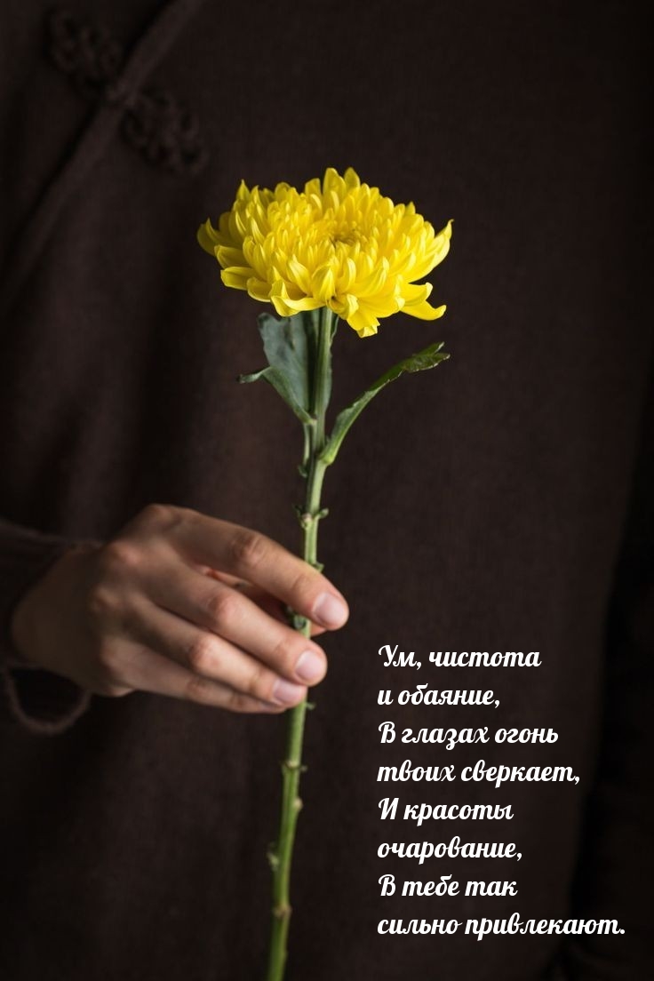 ,   ,     