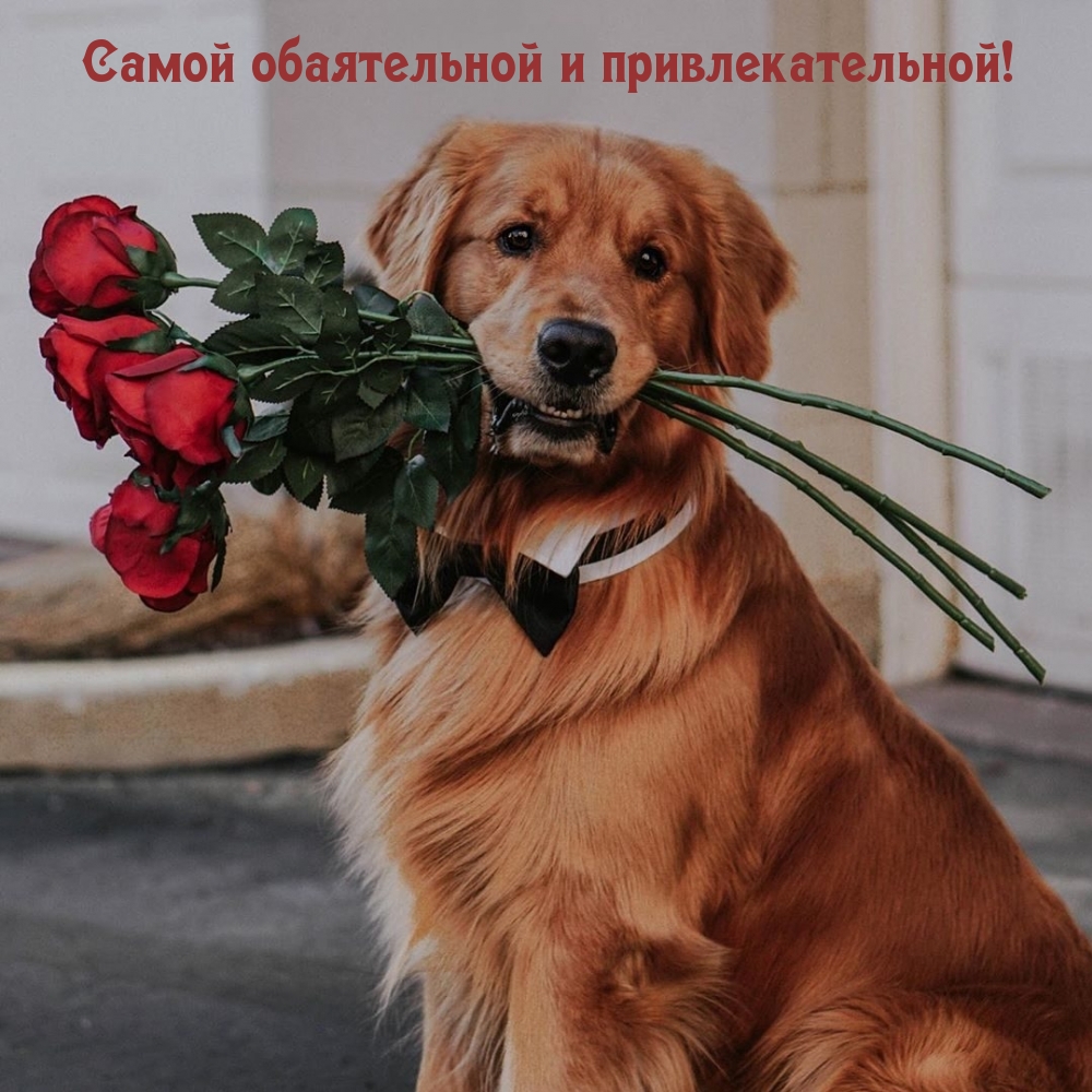 Самой обаятельной и привлекательной!