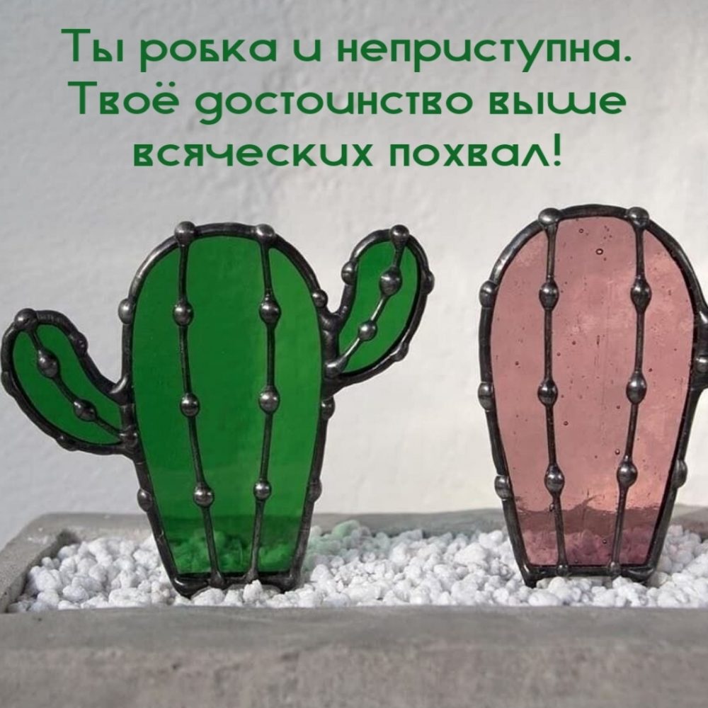 Ты робка и неприступна. Твоё достоинство выше всяческих похвал!