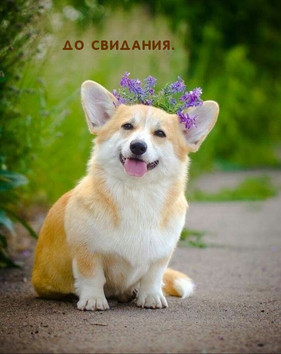  ..