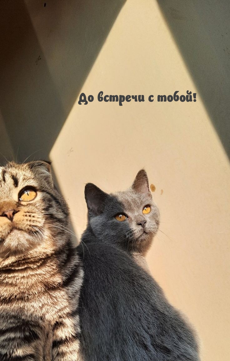    !