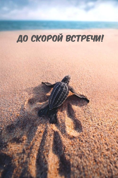   !.