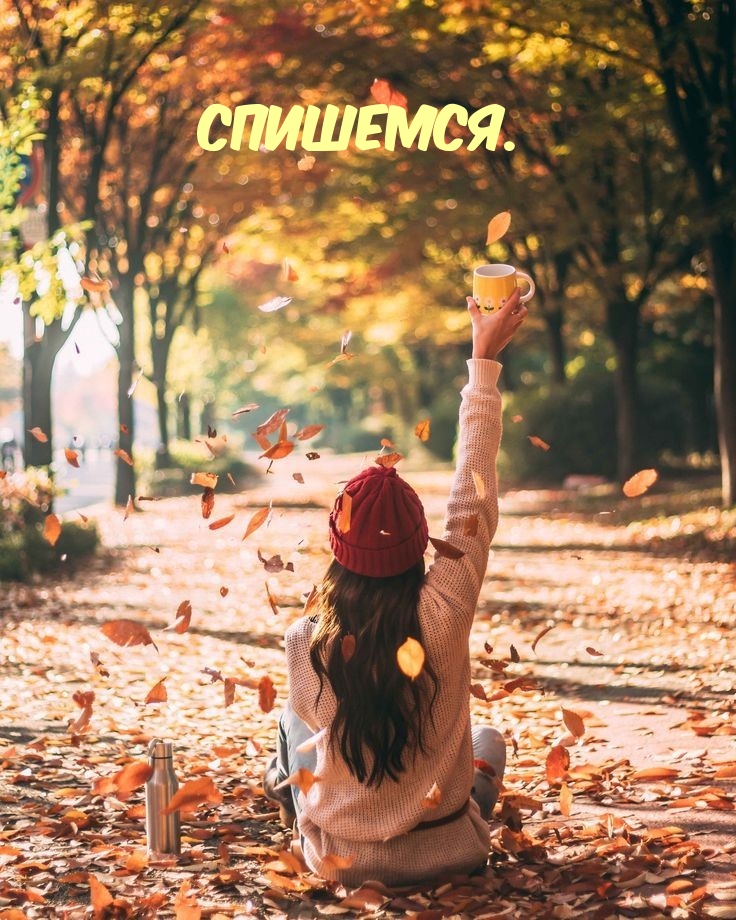  : .