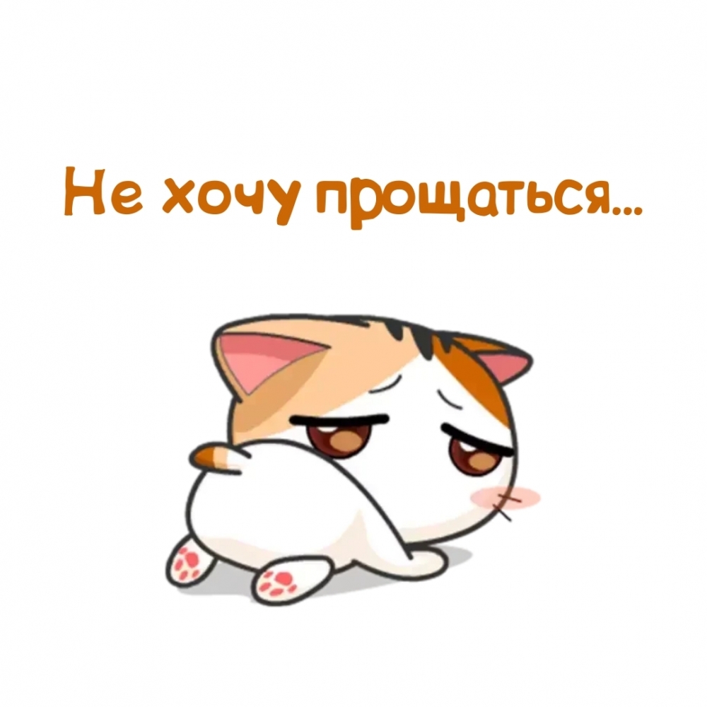   :   ...