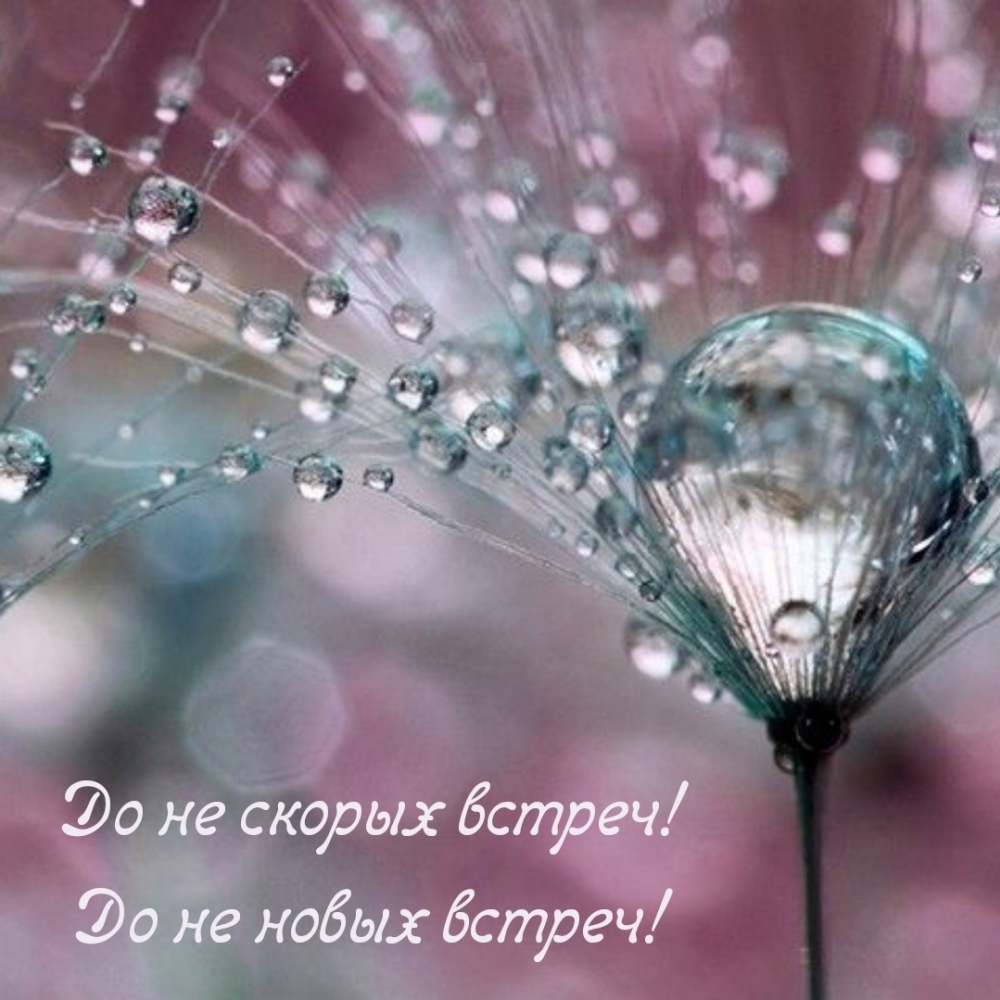 До не скорых встреч! До не новых встреч!