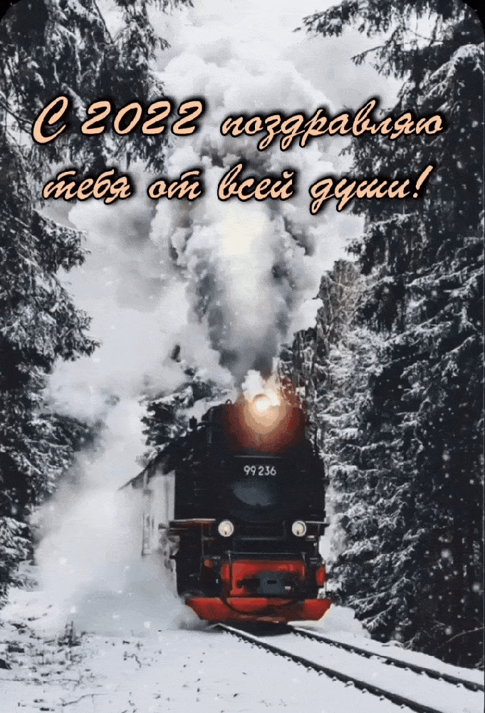   :  2022     !