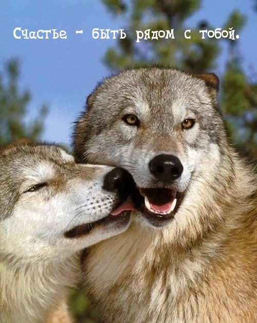 Счастье - быть рядом с тобой..