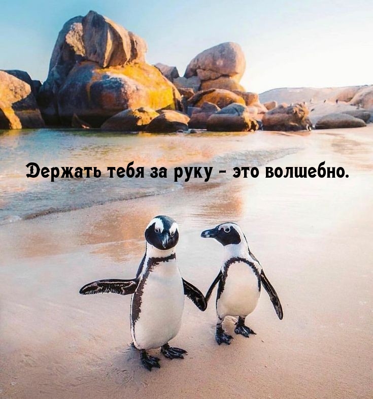     -  .