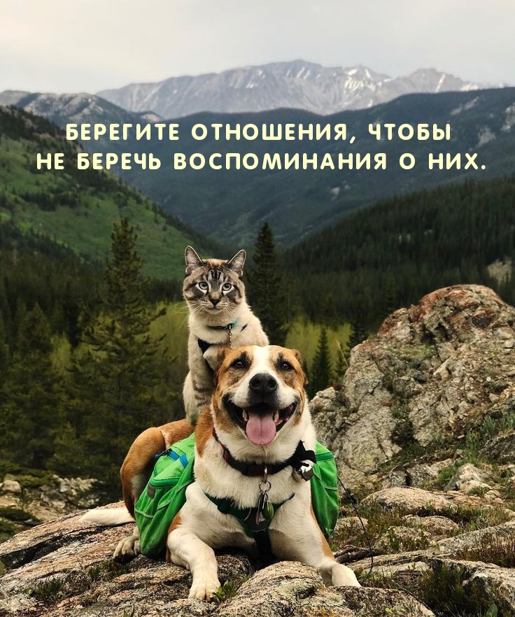   :  ,      .