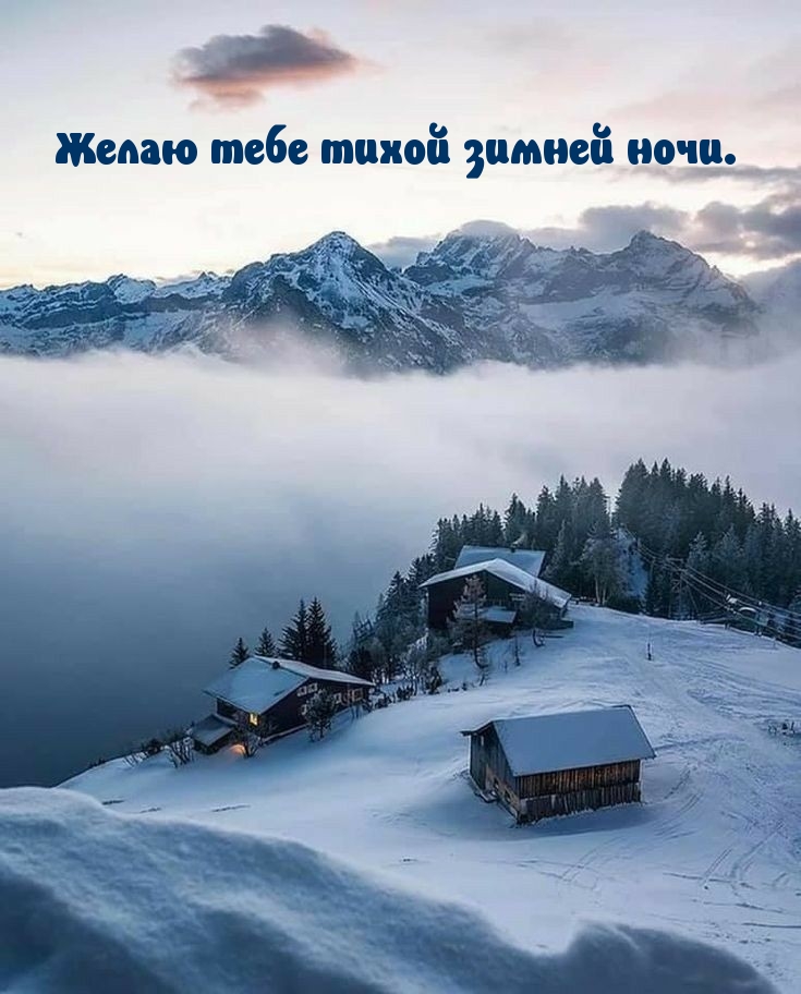 Желаю тебе тихой зимней ночи.