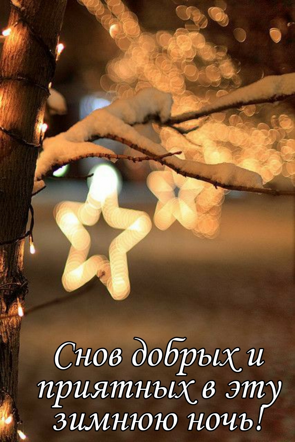 Снов добрых и приятных в эту зимнюю ночь!