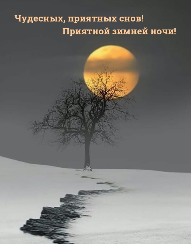 Чудесных, приятных снов! Приятной зимней ночи!.