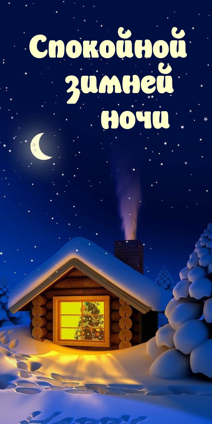 Спокойной зимней ночи