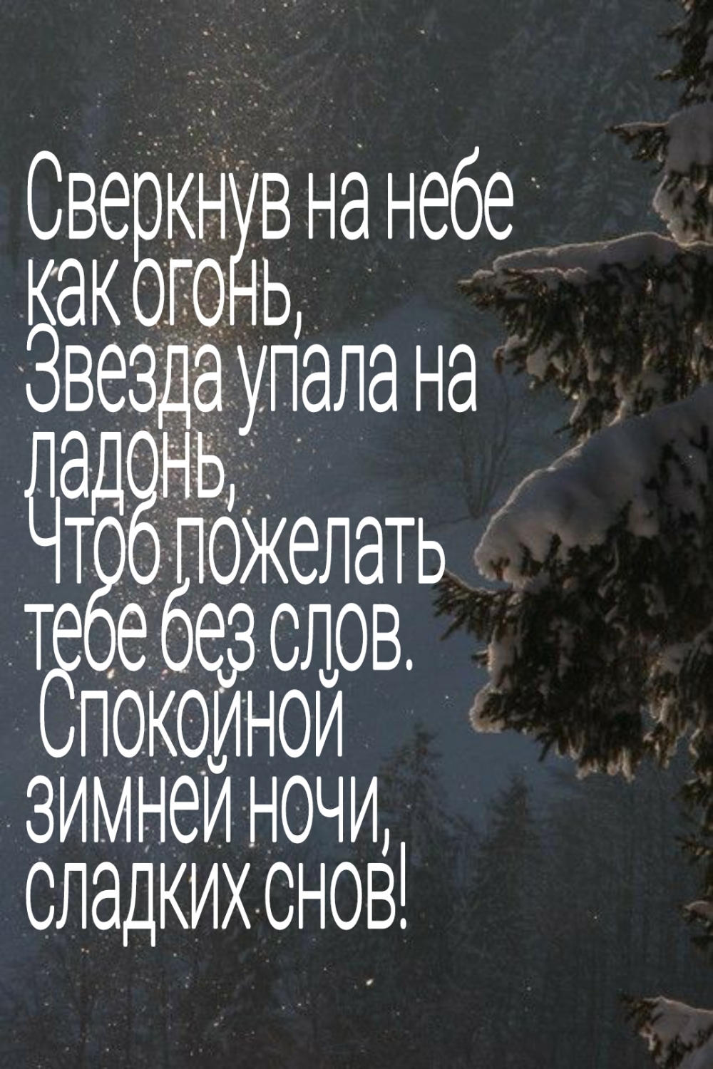 Спокойной зимней ночи, сладких снов!