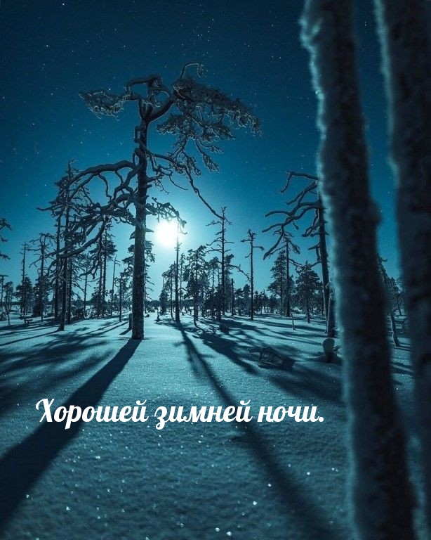 Хорошей зимней ночи..