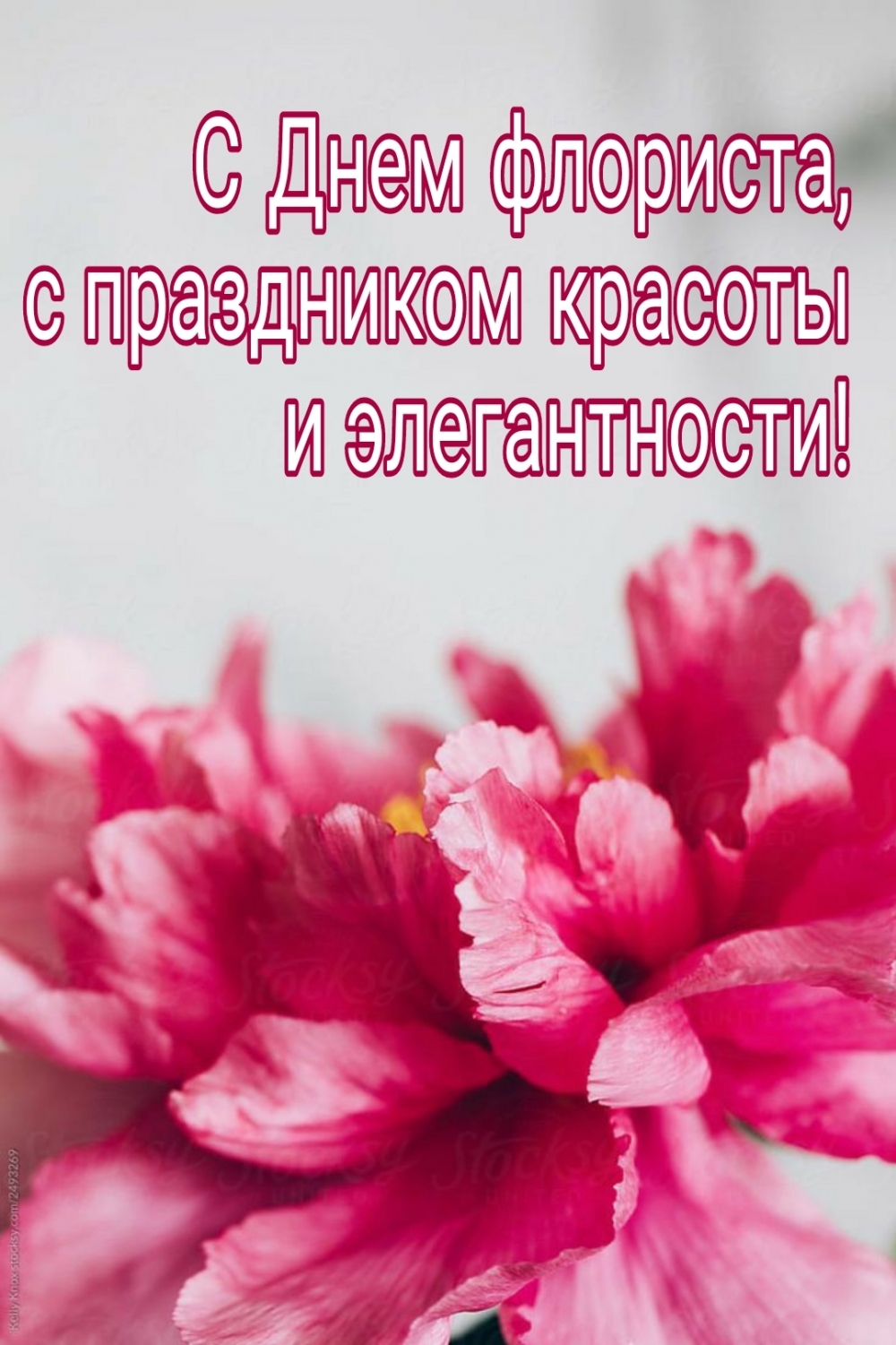   :   ,   !