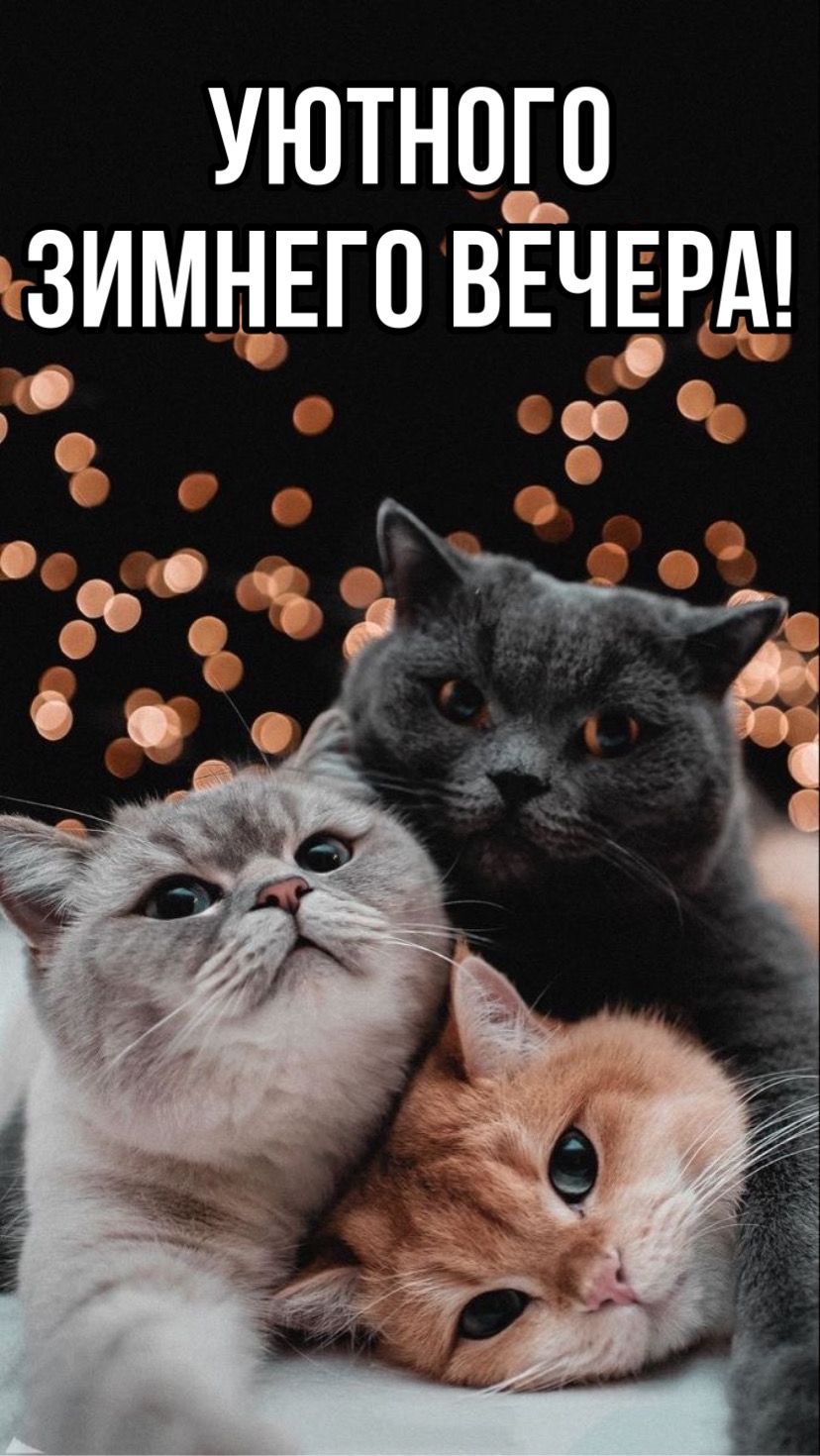   :   !