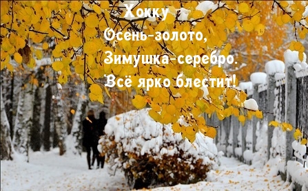   :  -, -.   !