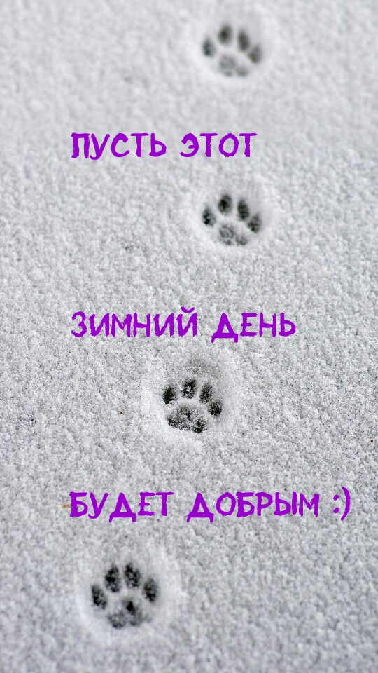   :       :)