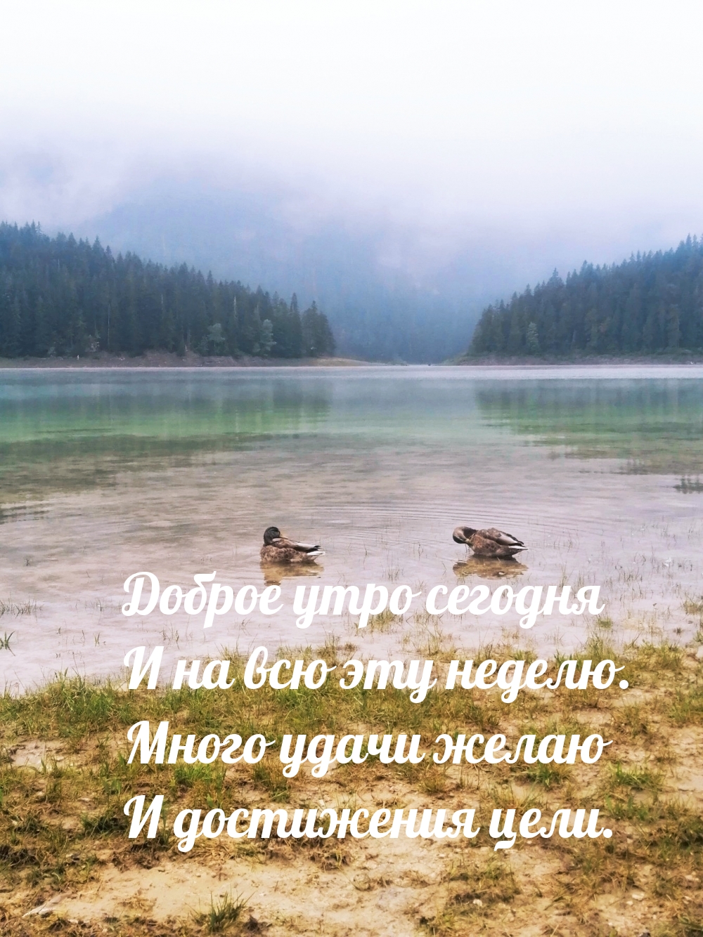   :        .