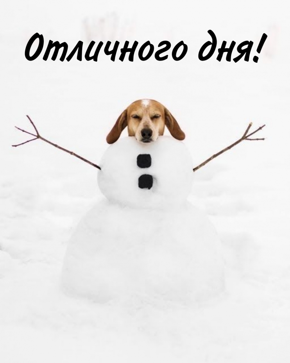  !