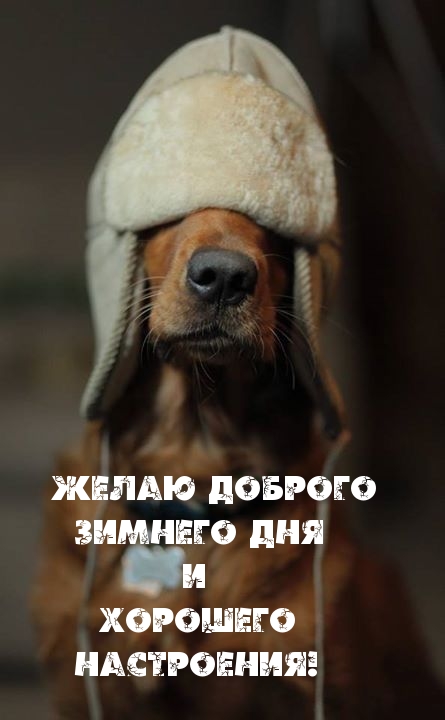   :       !