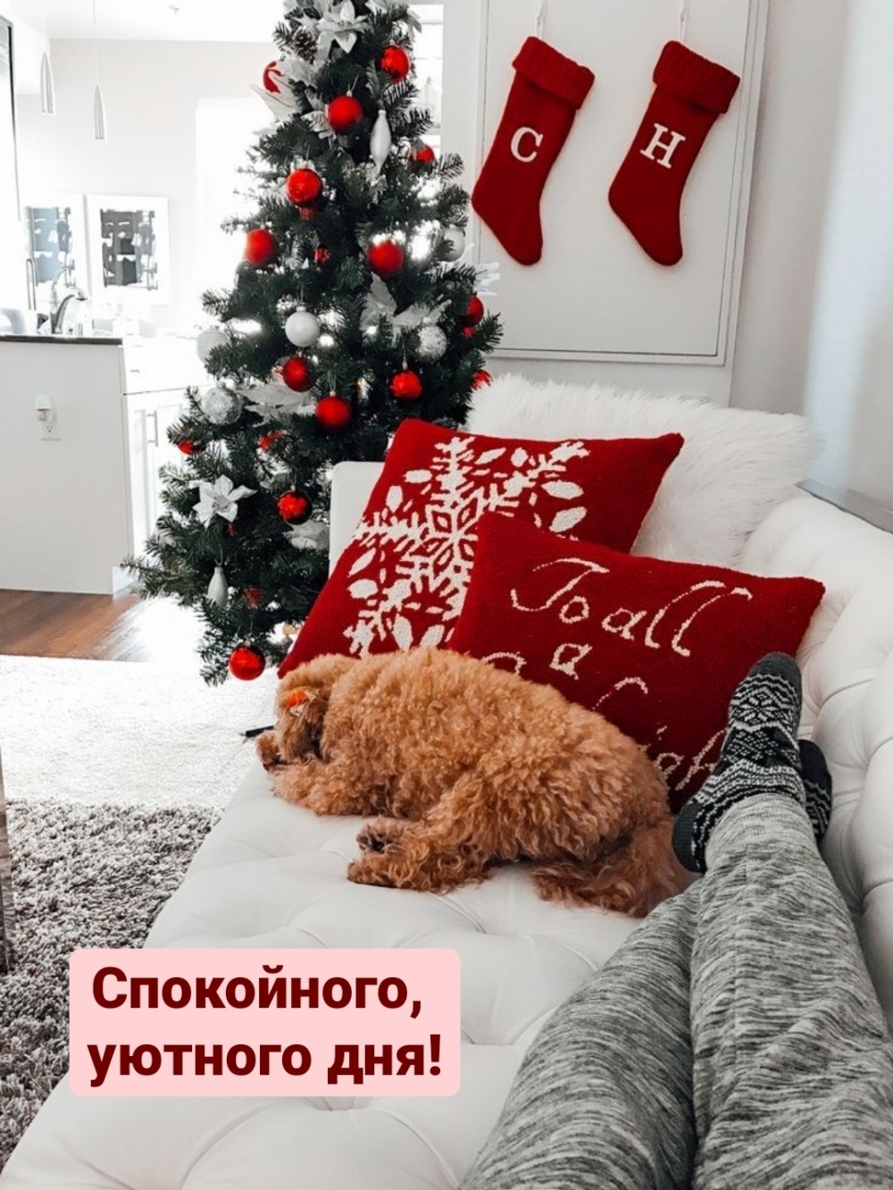 ,  !