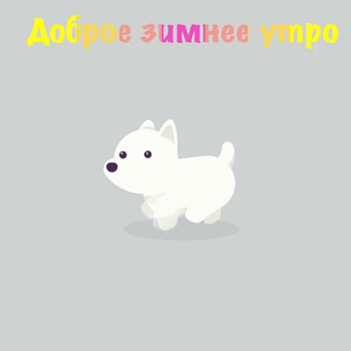   :   