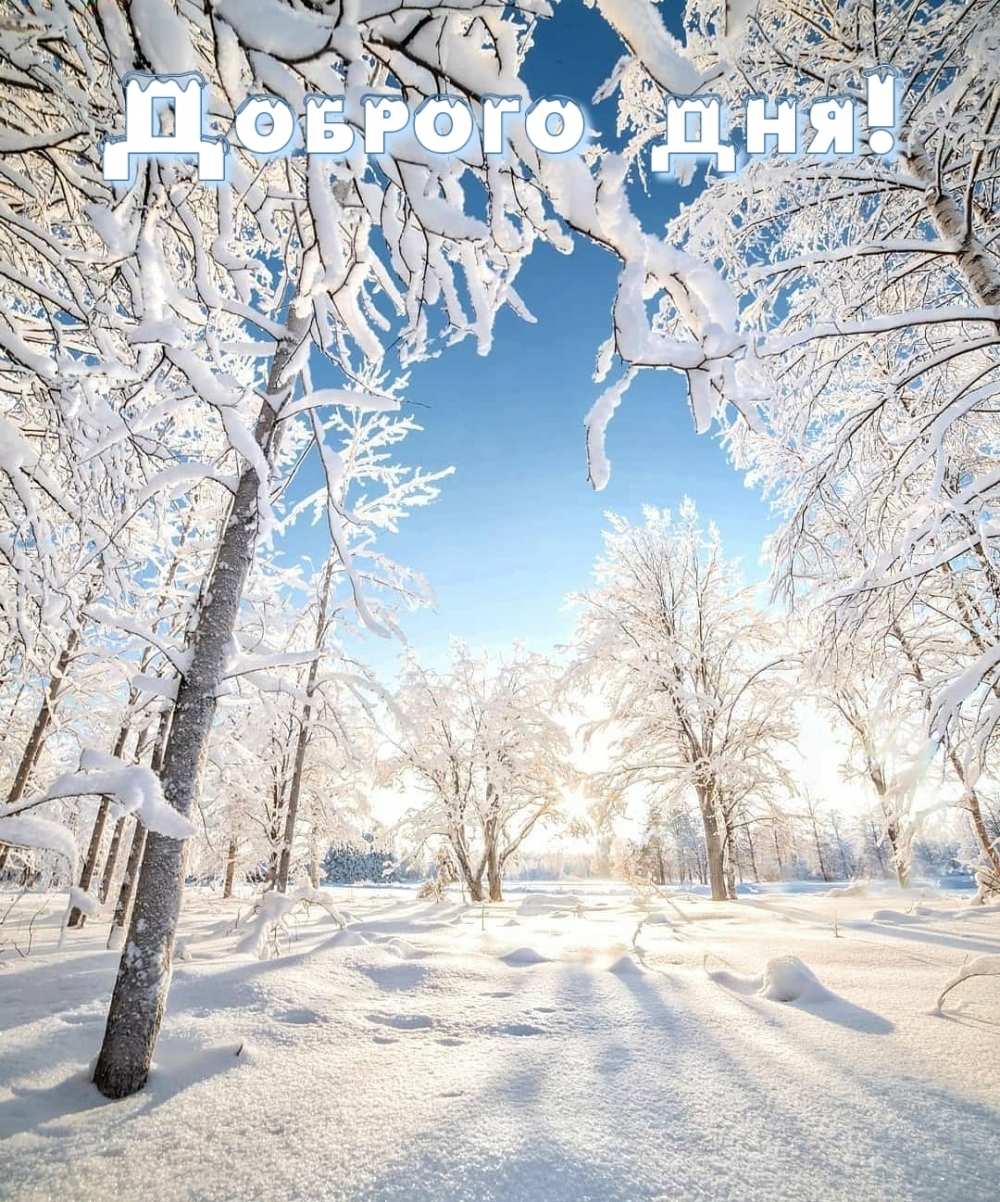 Доброго дня!